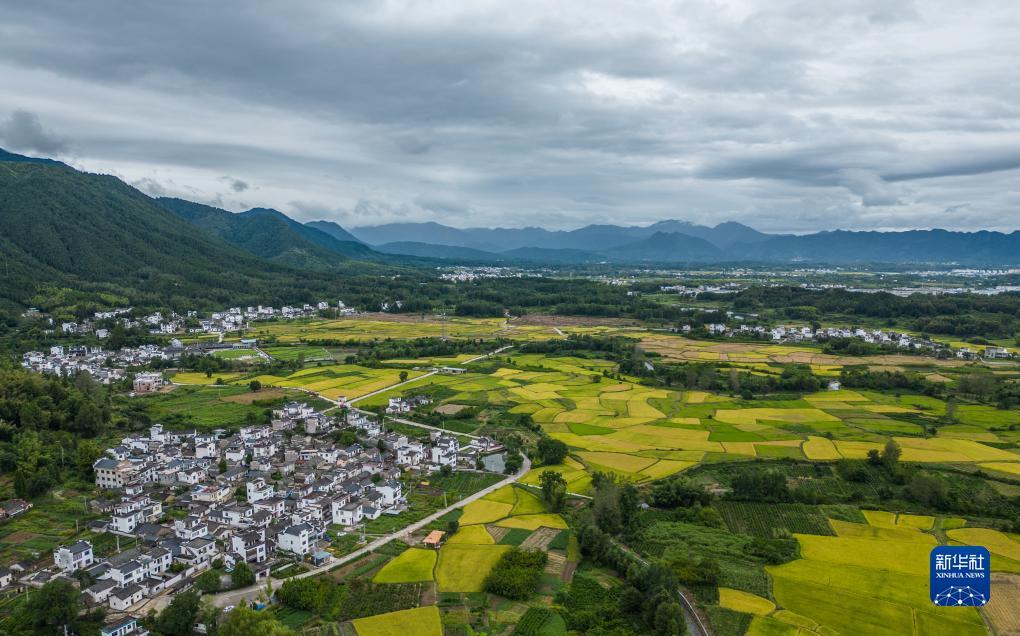 彩票彩经网